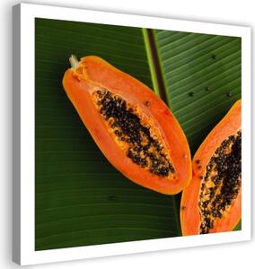 Obraz na plátně Ovocné listy papáji - 30x30 cm