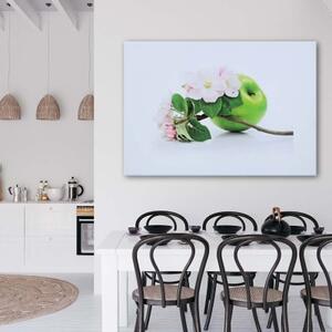 Obraz na plátně Ovoce jablko Příroda - 60x40 cm