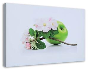 Obraz na plátně Ovoce jablko Příroda - 120x80 cm