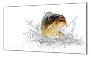 Ochranná doska ryba kapor lysec - 52x60cm / ANO
