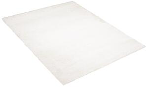 Hebký koberec bielej farby Biela Šírka: 80 cm | Dĺžka: 150 cm