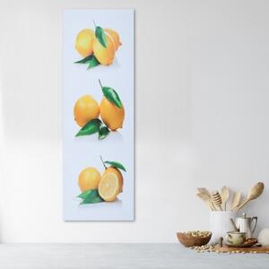 Obraz na plátně Ovoce citronu - 30x90 cm