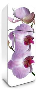 Samolepiace tapety na chladničku, rozmer 180 cm x 65 cm, fialová orchidej, DIMEX FR-180-024
