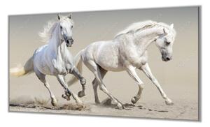 Ochranná doska pár bielych koní - 40x40cm / ANO