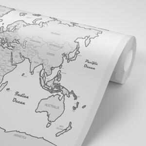 Tapeta mapa sveta so šedým okrajom