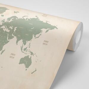 Samolepiaca tapeta decentná mapa sveta