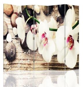 Ozdobný paraván Bílé sedmikrásky květy - 180x170 cm, päťdielny, klasický paraván