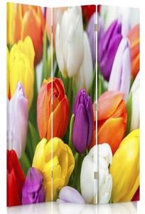 Ozdobný paraván Barevné tulipány Květiny - 110x170 cm, trojdielny, klasický paraván