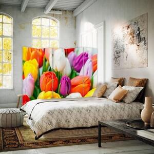 Ozdobný paraván Tulipány Květiny Barevné - 180x170 cm, päťdielny, klasický paraván
