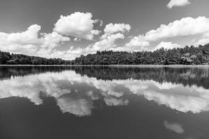 Fototapeta čiernobiele jazero v lete - 150x100