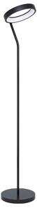 STOJACIA LAMPA, 27/30,5/169 cm Eglo - Interiérové svietidlá