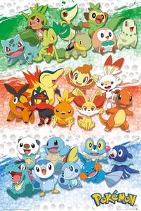 Plagát, Obraz - Pokemon - First Partners, (61 x 91.5 cm)