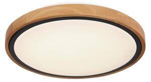 Globo 41764-12