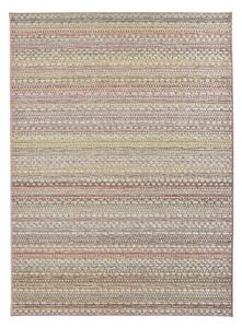 NORTHRUGS - Hanse Home koberce AKCIA: 120x170 cm Kusový koberec Lotus Rose zlaté 103252 – na von aj na doma - 120x170 cm