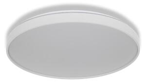 Osram - LED stropné svietidlo CEILING LUXO LED/60W/230V priemer 56 cm biele