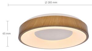 Brilagi - LED Stropné svietidlo DORIA LED/24W/230V