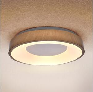 Brilagi - LED Stropné svietidlo DORIA LED/24W/230V