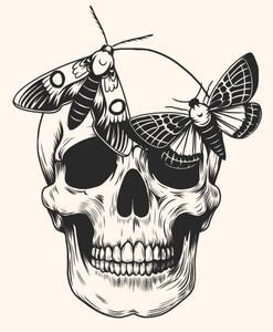 Ilustrácia Hand drawn human skull head butterfly, Julia Solodukhina