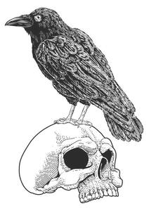 Ilustrácia Crow Raven Corvus Bird and Skull Vintage Woodcut, ChrisGorgio