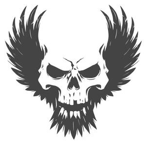 Ilustrácia Black skull illustration with wings, d1sk