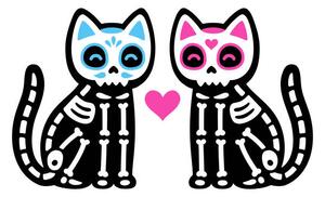 Ilustrácia Black skeleton cats couple with Mexican, Sudowoodo