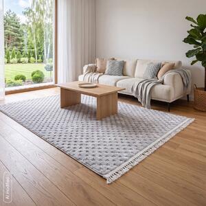 Dekorstudio Koberec MONO BOHO - strieborný Rozmer koberca: 80x200cm