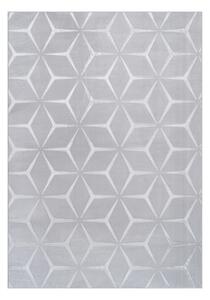 BEHÚŇ, 80/150 cm strieborná Kayoom - Online Only bytové doplnky, Online Only