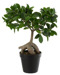 Dekoratívny umelý ženšenový fikus v kvetináči - 25*13*37 cm - J-Line by Jolipa