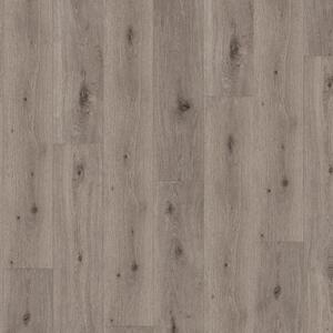 Parador SPC Trendtime 8 Dub Imperial lightgrey authentic text. widepl V-groove 1744828 1522x225x6 mm