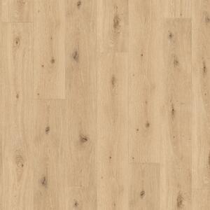 Parador SPC Trendtime 8 Dub Imperial pure 1744826 2,06 m²
