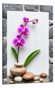 Obraz na plátne Orchidea a kamene