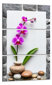 Obraz na plátne Orchidea a kamene