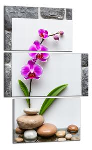 Obraz na plátne Orchidea a kamene