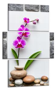 Obraz na plátne Orchidea a kamene