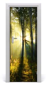 Fototapeta samolepiace na dvere les príroda 75x205 cm