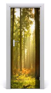 Fototapeta na dvere pekný les 85x205 cm