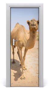 Samolepiace fototapety na dvere Velblou na púšti 75x205 cm