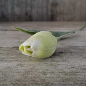 Tulipán umelý zelený jemne bielený 43cm cena za 1ks