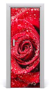 Fototapeta samolepiace červená ruža 75x205 cm