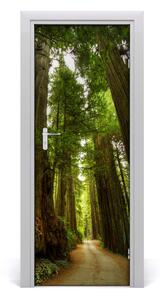 Fototapeta na dvere chodník v lese 95x205 cm