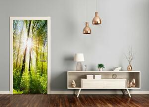 Fototapeta na dvere samolepiace slnka v lese 85x205 cm