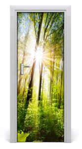 Fototapeta na dvere samolepiace slnka v lese 85x205 cm