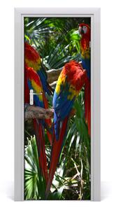 Samolepiace fototapety na dvere papagáj ara 95x205 cm