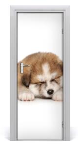 Samolepiace fototapety na dvere šteňa akity 95x205 cm