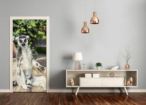 Samolepiace fototapety na dvere lemur 85x205 cm