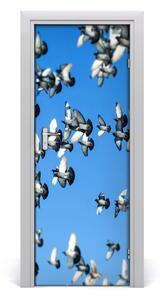 Fototapeta na dvere holuby na nebi 75x205 cm