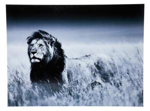Lion King obraz sklenený čiernobiely