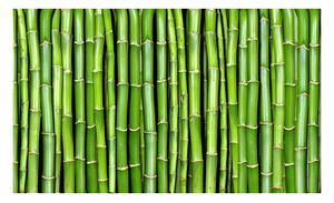 Fototapeta - Bambusový múr I