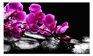 Fototapeta - Relaxačné moment: orchidea kvet a kamene