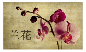 Fototapeta - Japonská orchidea